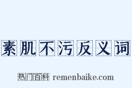 素肌不污反义词是什么意思的图片